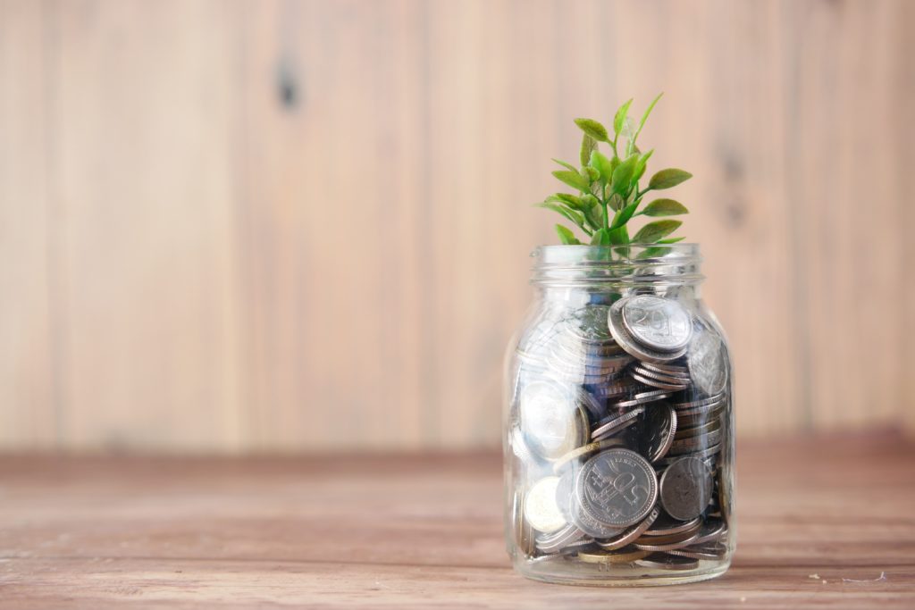 plant in money jar